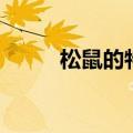 松鼠的特点和本领（松鼠的特点）