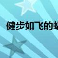 健步如飞的蜗牛作文300字三年级想象作文