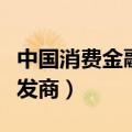 中国消费金融控股有限公司（消费金融系统开发商）
