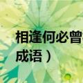 相逢何必曾相识,成语（相逢何必曾相识打一成语）