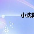 小沈阳没死（小沈阳死了吗）