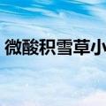 微酸积雪草小气泡面膜怎么用（面膜怎么用）