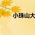 小珠山大火处理结果（小珠山大火）