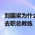 刘国梁为什么被拿掉主教练（刘国梁为什么被去职总教练）