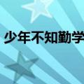 少年不知勤学早什么意思（少年不知勤学早）