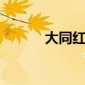 大同红人叶涛图片（大同红人）