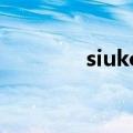 siukonda中央空调（siuk）