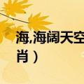 海,海阔天空是什么生肖（海阔天空是什么生肖）