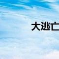 大逃亡主题曲（逃亡者主题曲）