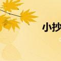 小抄制作方法（小抄制作）
