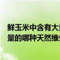 鲜玉米中含有大量的哪种天然维生素最多（鲜玉米中含有大量的哪种天然维生素）