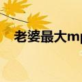 老婆最大mp3下载微盘（老婆最大mp3）