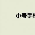 小号手模型怎么样（小号手模型）