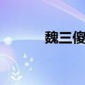 魏三傻子图片（魏三傻子上学）