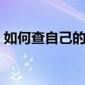 如何查自己的身份证（怎样查询身份证信息）