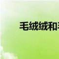 毛绒绒和毛茸茸如何区分?（毛绒绒）