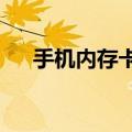 手机内存卡1g多少钱（1g内存卡价格）