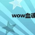 wow血魂有什么用（血魂有什么用）