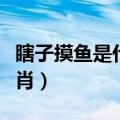 瞎子摸鱼是什么生肖图片（瞎子摸鱼是什么生肖）