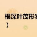 根深叶茂形容草木长得茂盛的词语（根深叶茂）