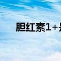 胆红素1+是什么意思（胆是什么意思）
