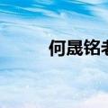 何晟铭老婆戴娇倩（何晟铭老婆）