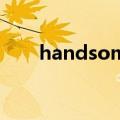 handsome boy honest是什么意思