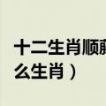 十二生肖顺藤摸瓜是什么生肖（顺藤摸瓜是什么生肖）