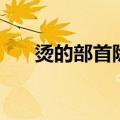 烫的部首除外还有多少画（烫的部首）