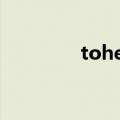 toheart 2（toheart2ad）