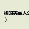 我的美丽人生剧情介绍（我的美丽人生演员表）