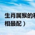 生肖属猴的和什么属相最配（属猴的和什么属相最配）