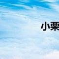 小栗旬新浪（小栗旬资料）