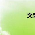文章小三姚（姚晨小三）