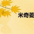 米奇菱洗衣液总厂家（米奇菱）