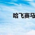 哈飞赛马多少钱（哈飞赛马怎么样）