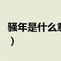 骚年是什么意思由来是什么（骚年是什么意思）