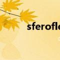 sferoflex 眼镜档次（sferoflex）