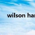 wilson hammer5（wilson hammer）