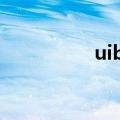 uiber是啥意思（uibe）
