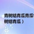 青树结青瓜青瓜包棉花棉花包梳子梳子包豆芽猜一水果（青树结青瓜）