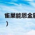 雀巢能恩金盾奶粉怎么样（雀巢能恩金盾奶粉）