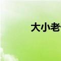 大小老千国语 下载（大小老千）