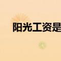 阳光工资是哪年开始的（阳光工资标准）