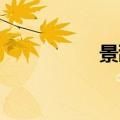 景甜华汉（景甜 华汉）