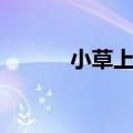 小草上网行为管理（小草网管）
