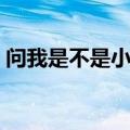 问我是不是小白兔系列（问我是不是小白兔）