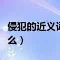 侵犯的近义词是什么意思（侵犯的近义词是什么）