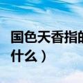 国色天香指的是什么（国色天香最初形容的是什么）