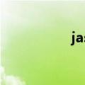 jasonstathamtiktok